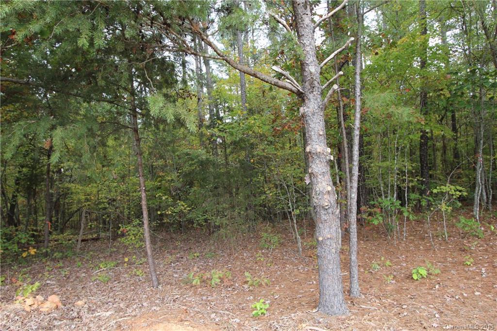 0 Hough Road Polkton, NC 28135 - Photo 5 of 9 Gallery Image 5