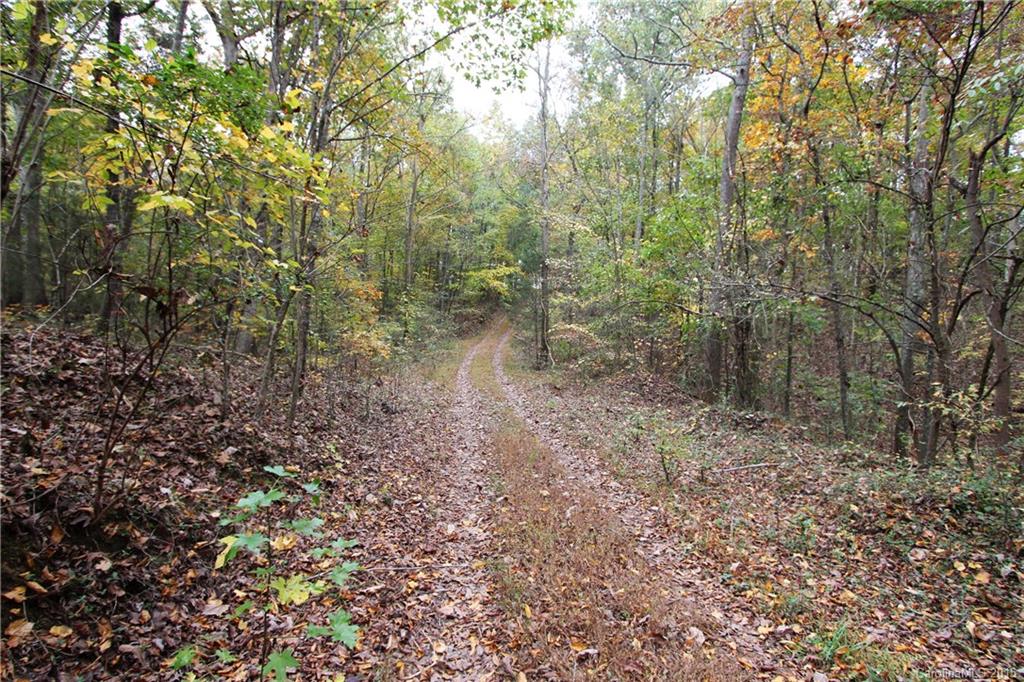 0 Hough Road Polkton, NC 28135 - Photo 7 of 9 Gallery Image 7