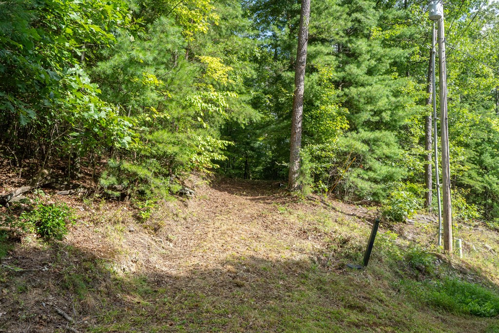 0 Choctaw Ridge Road Blue Ridge, GA 30513 - Photo 6 of 17