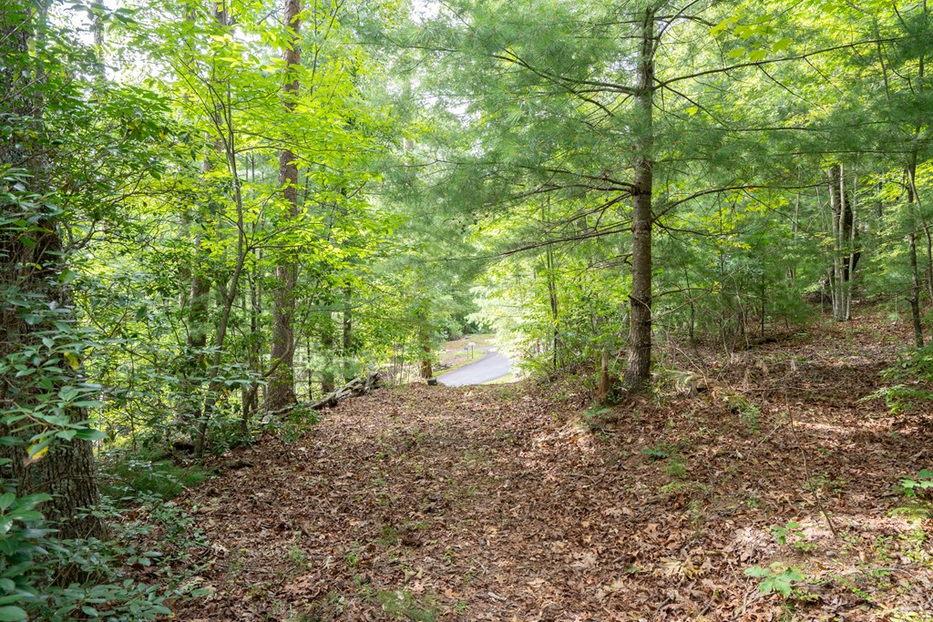 0 Choctaw Ridge Road Blue Ridge, GA 30513 - Photo 9 of 17