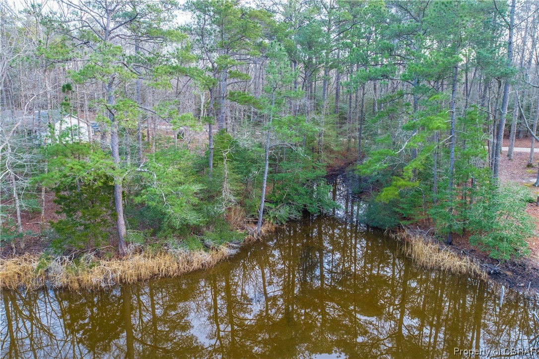 Lot 15 Hicks Road Hudgins, VA 23076 - Photo 6 of 28