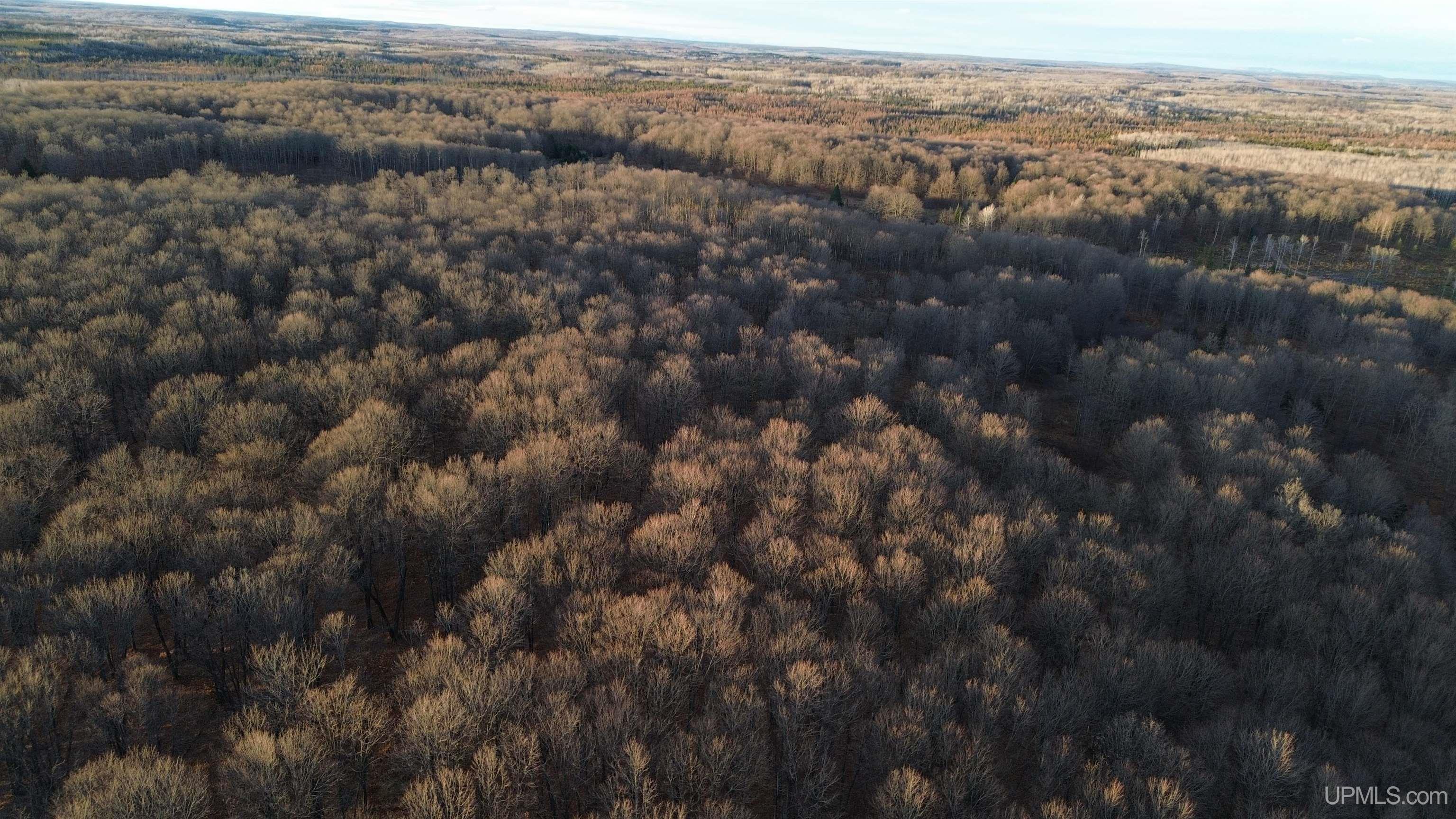 M26 M 5 Road Felch, MI 49831 - Photo 3 of 12
