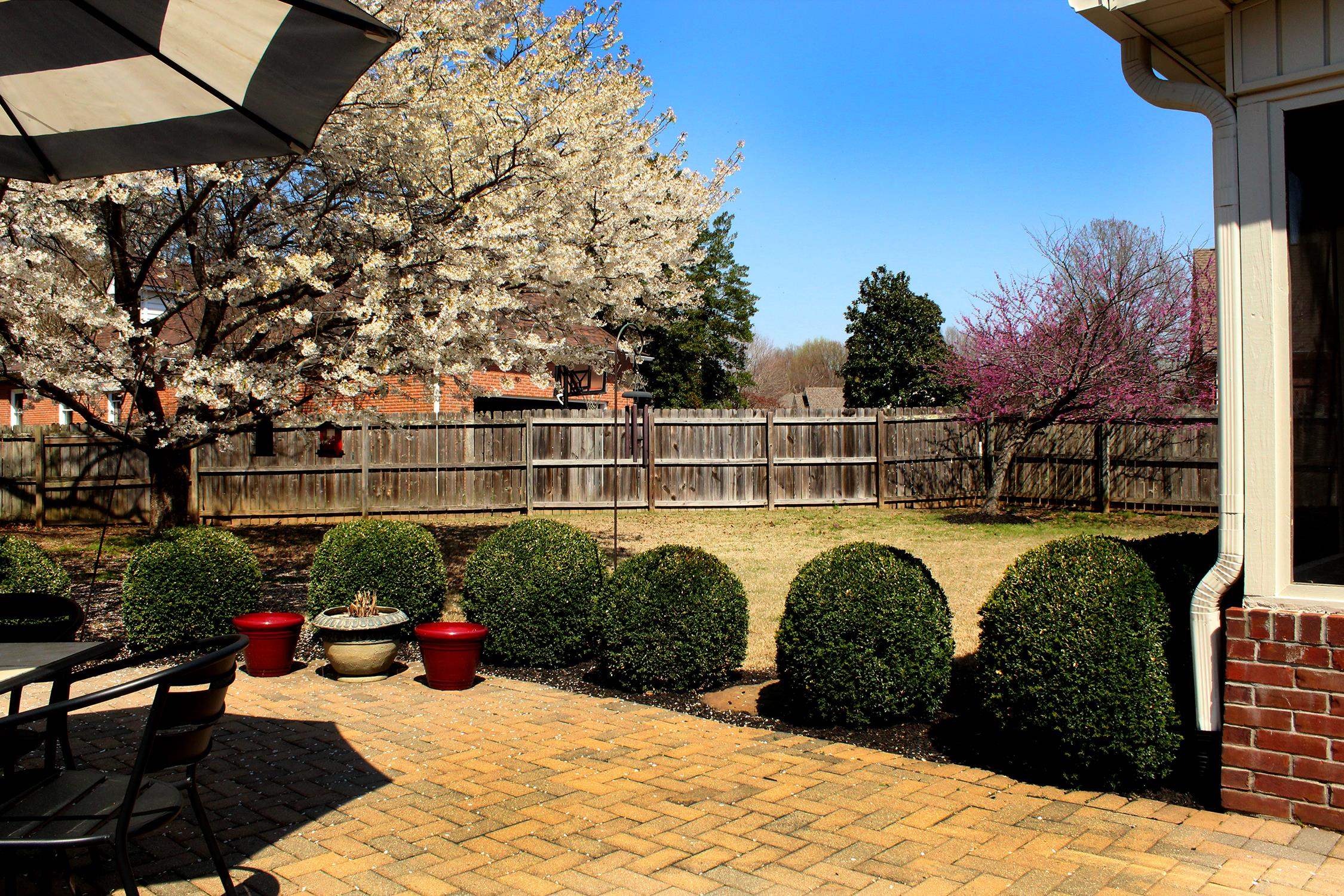 175 Windale Drive Jackson, TN 38305 - Photo 6 of 25 a view of a swimming pool and lounge chairs