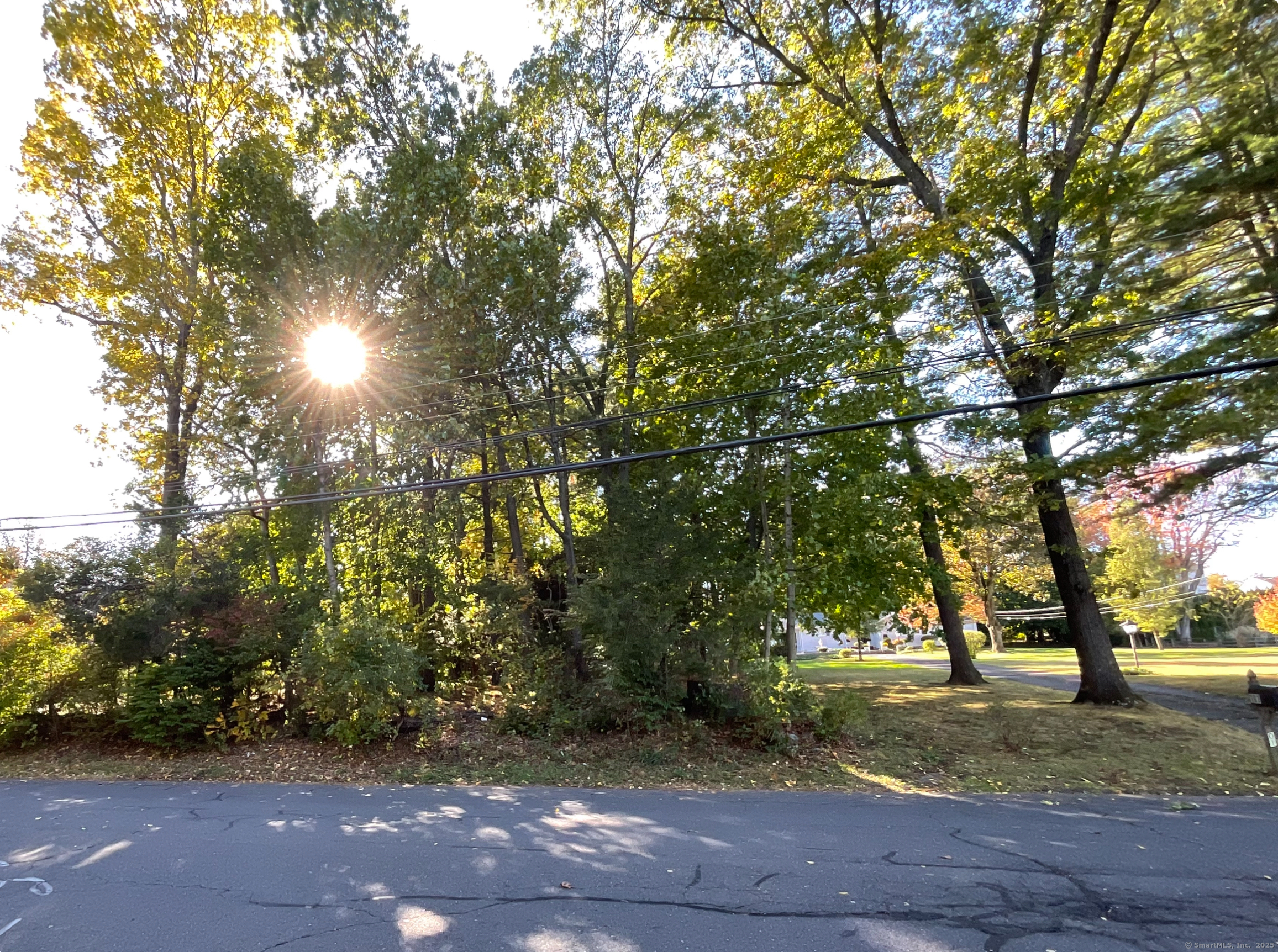 a view of a yard with a tree