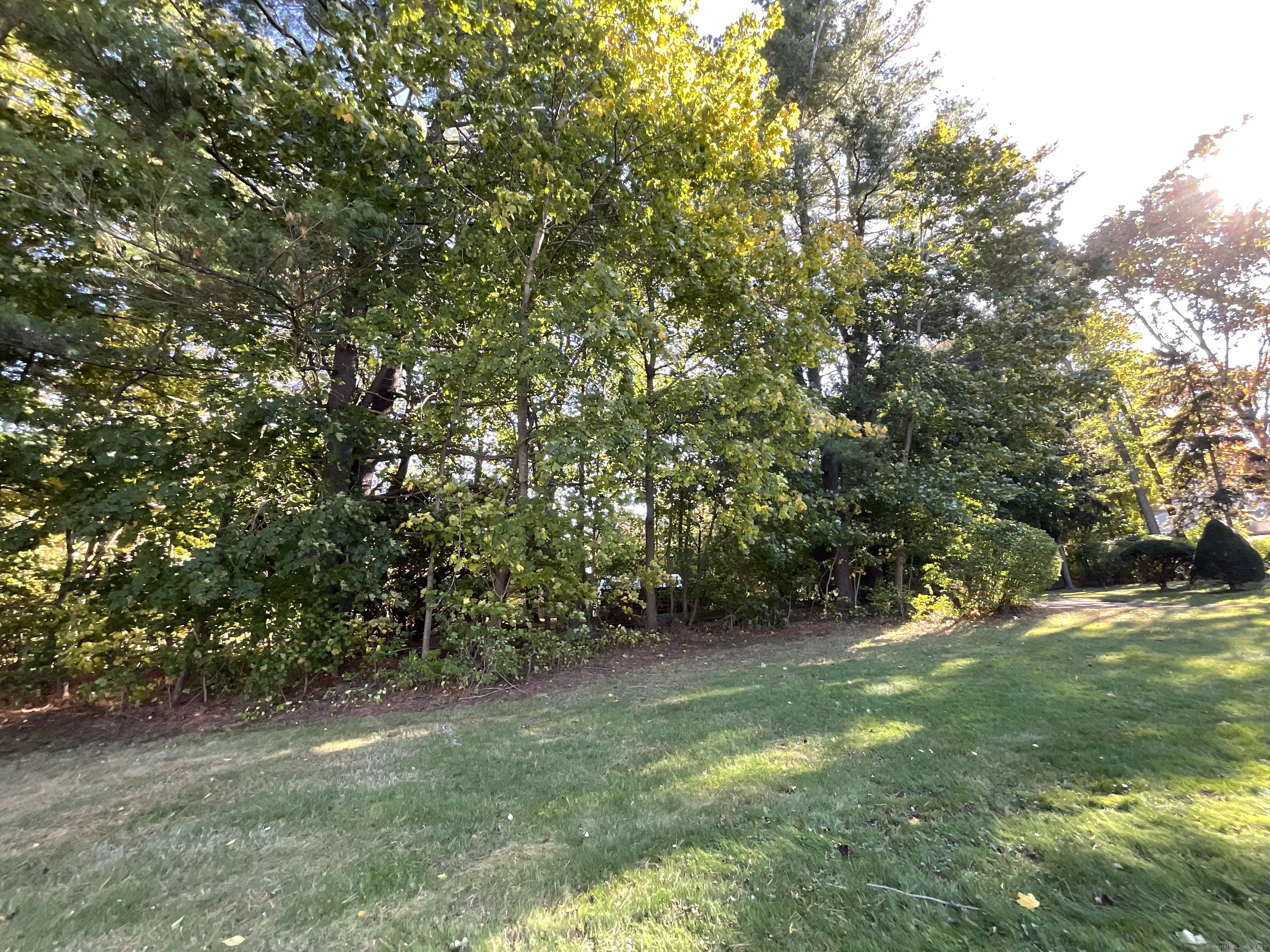 0 Collier Road Wethersfield, CT 06109 - Photo 2 of 4 a view of a trees with a tree