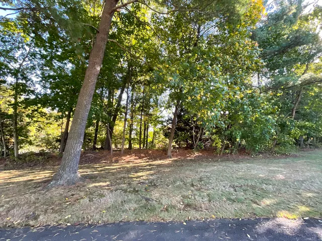 a view of outdoor space with trees