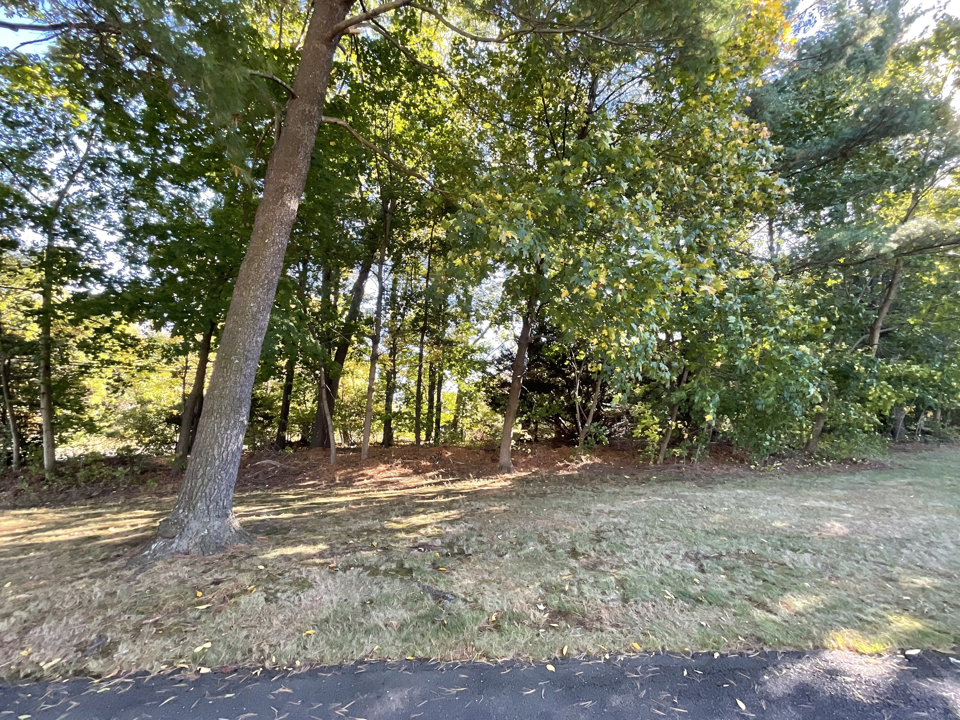 0 Collier Road Wethersfield, CT 06109 - Photo 3 of 4 a view of outdoor space with trees