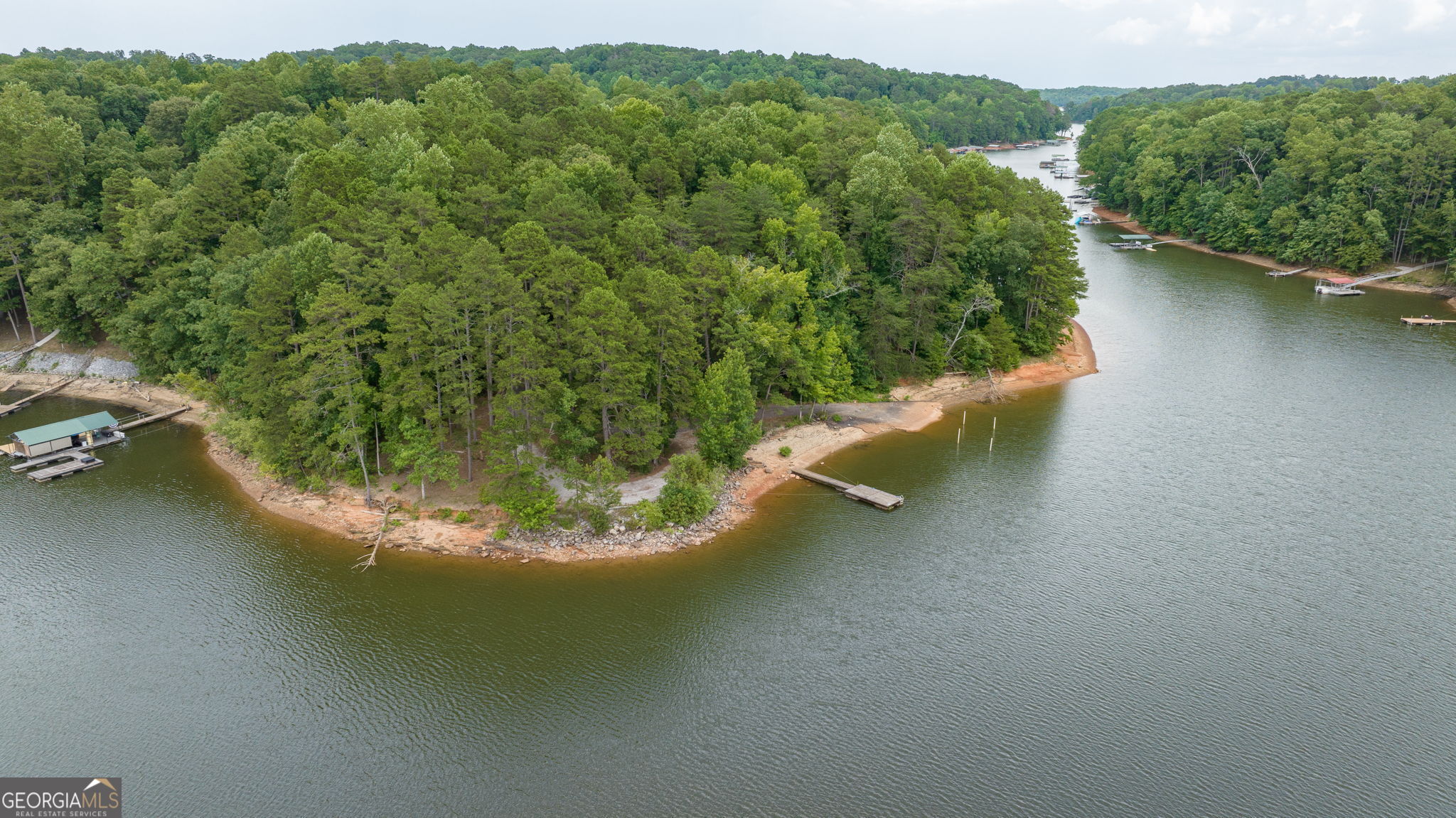 69 Cheyenne Trail Martin, GA 30557 - Photo 56 of 63 a view of a forest with a lake