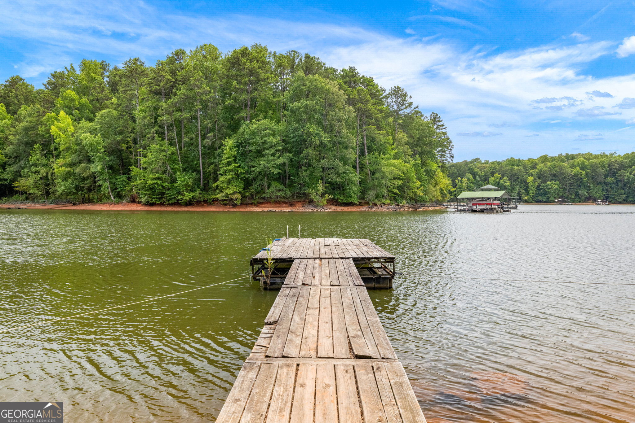69 Cheyenne Trail Martin, GA 30557 - Photo 58 of 63 a view of a lake with a large trees