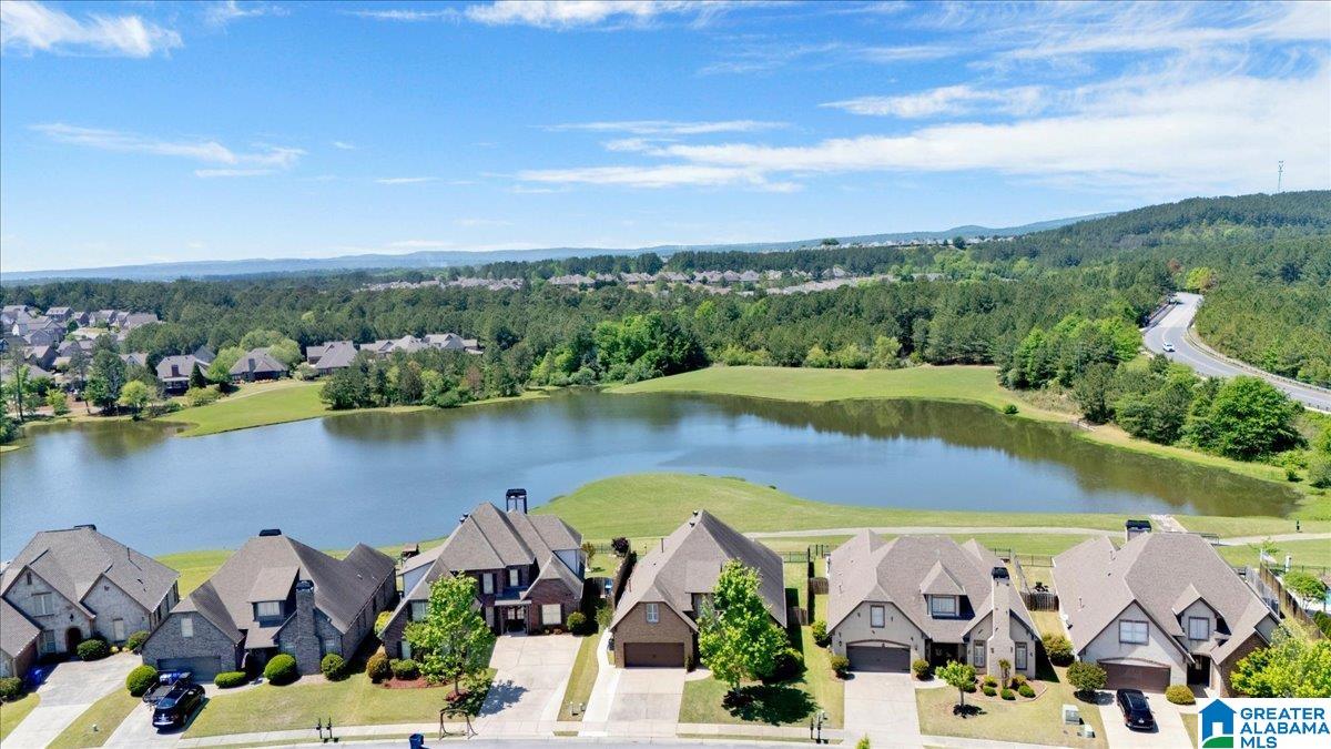 1038 Edgewater Lane Chelsea, AL 35043 - Photo 61 of 66