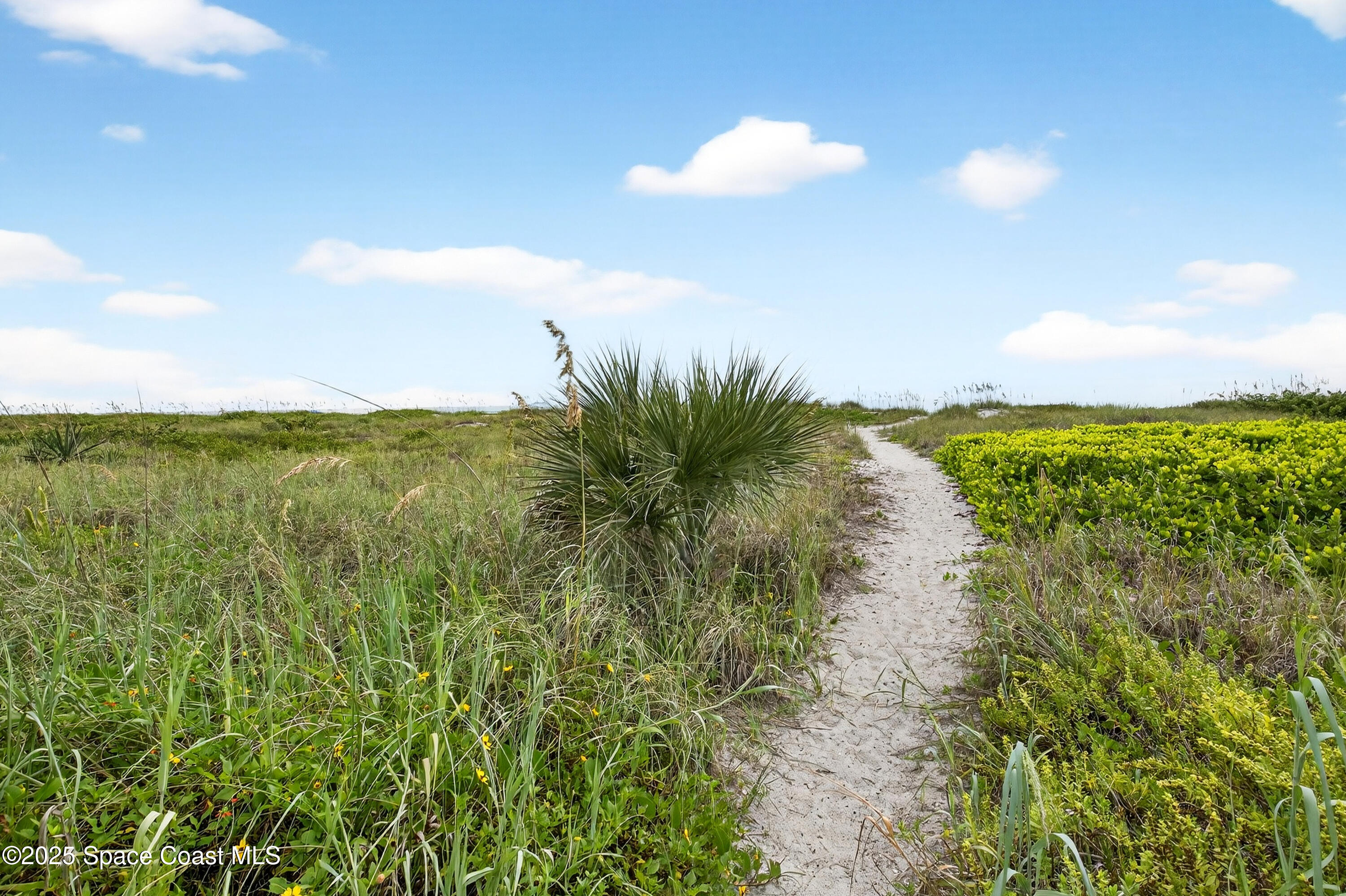 383 North Atlantic Avenue, Unit 105 Cocoa Beach, FL 32931 - Photo 50 of 67 a view of a lake with a yard