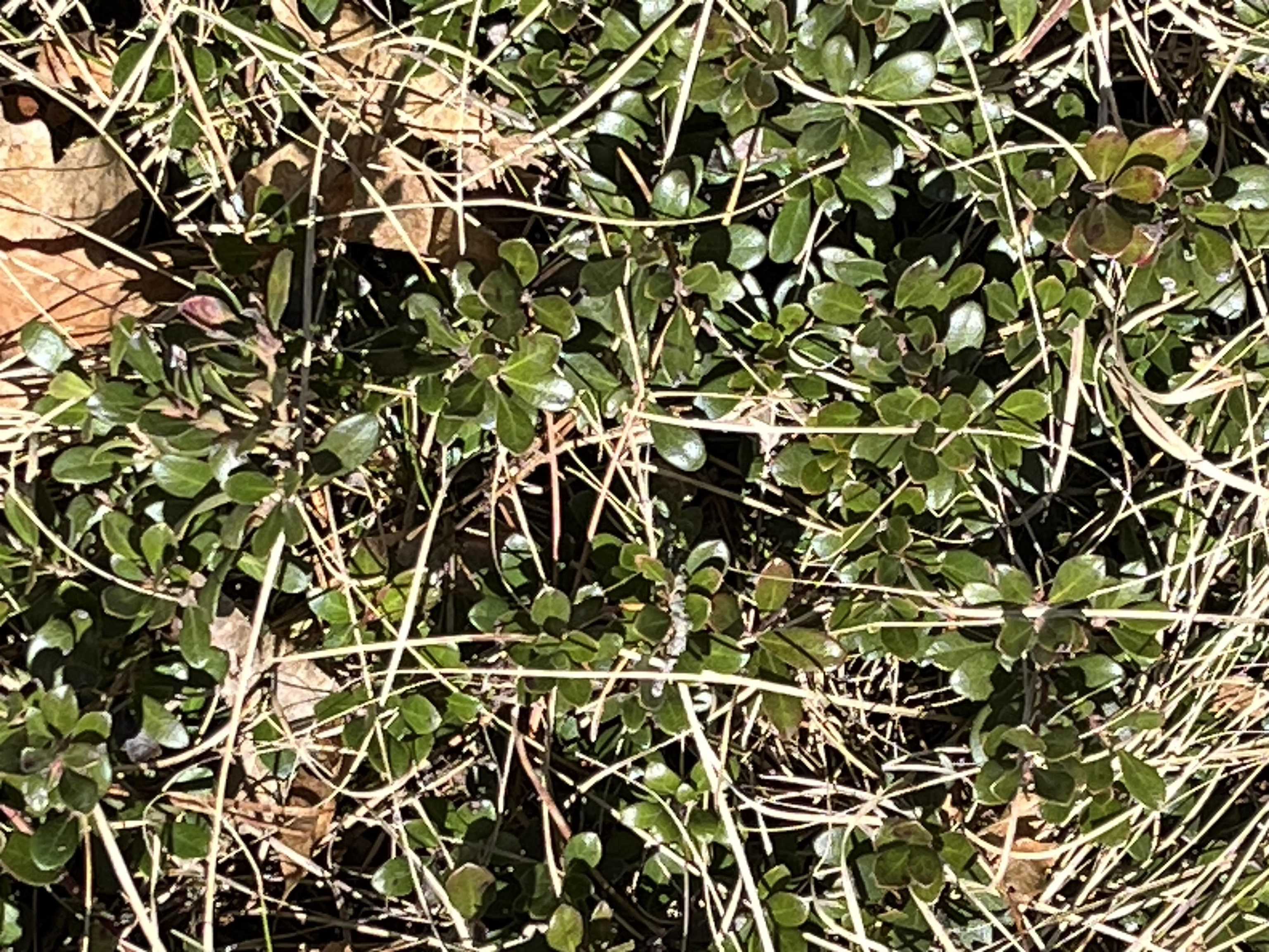 0 South Stephan Bridge Road Grayling, MI 49738 - Photo 2 of 7 Gallery Image 2