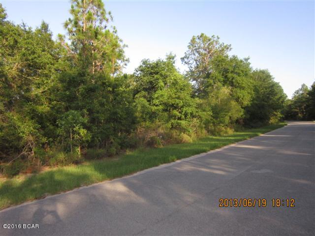 Lot 242 Quail Ridge Drive Chipley, FL 32428 - Photo 2 of 5
