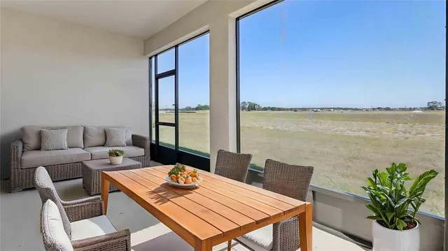 a living room with furniture a rug and a potted plant