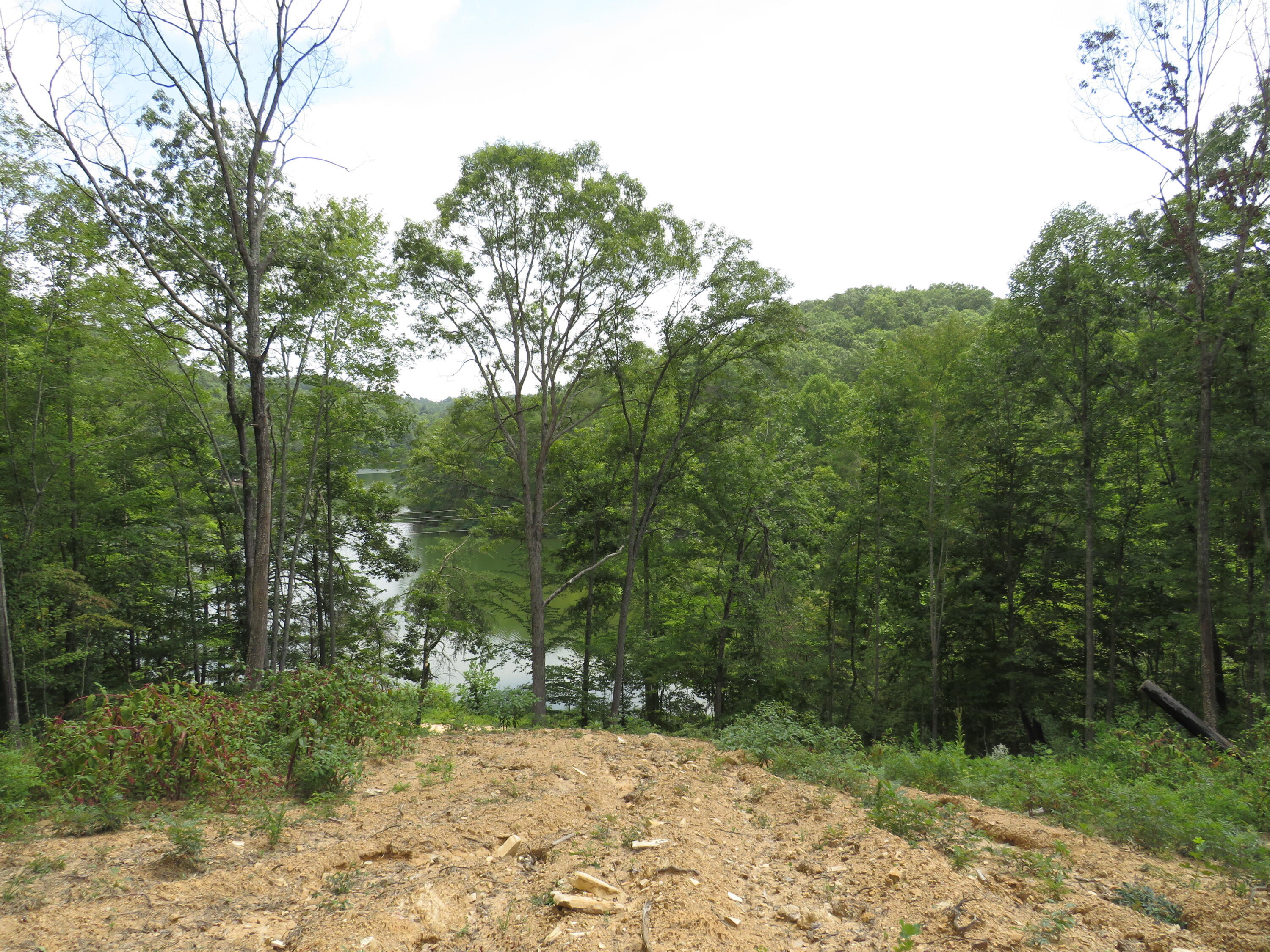 0 Chaney Ridge Road London, KY 40741 - Photo 27 of 35 IMG_4257