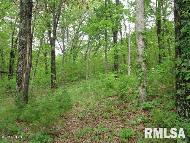 0 Cut-Off Road Creal Springs, IL 62922 - Photo 16 of 17