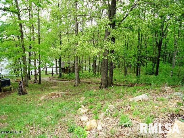 0 Cut-Off Road Creal Springs, IL 62922 - Photo 17 of 17