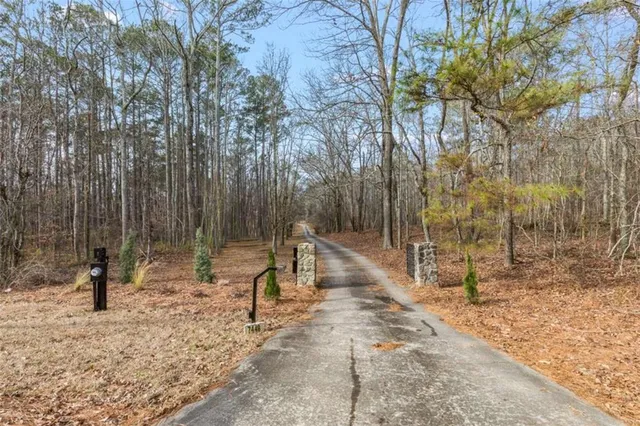 a view of a yard with a tree