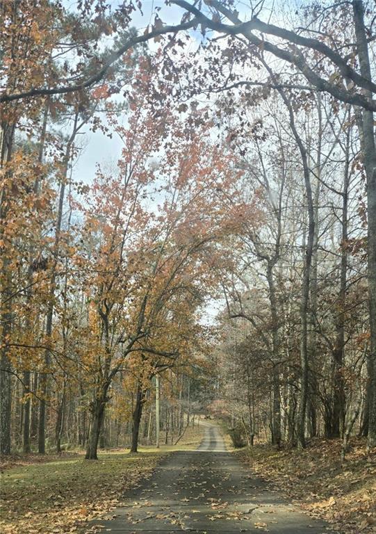 7448 Berea Road Winston, GA 30187 - Photo 5 of 43 a view of a yard with a trees