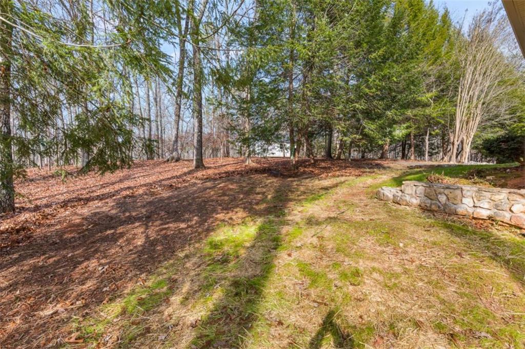 7448 Berea Road Winston, GA 30187 - Photo 8 of 43 a view of a yard with plants and trees