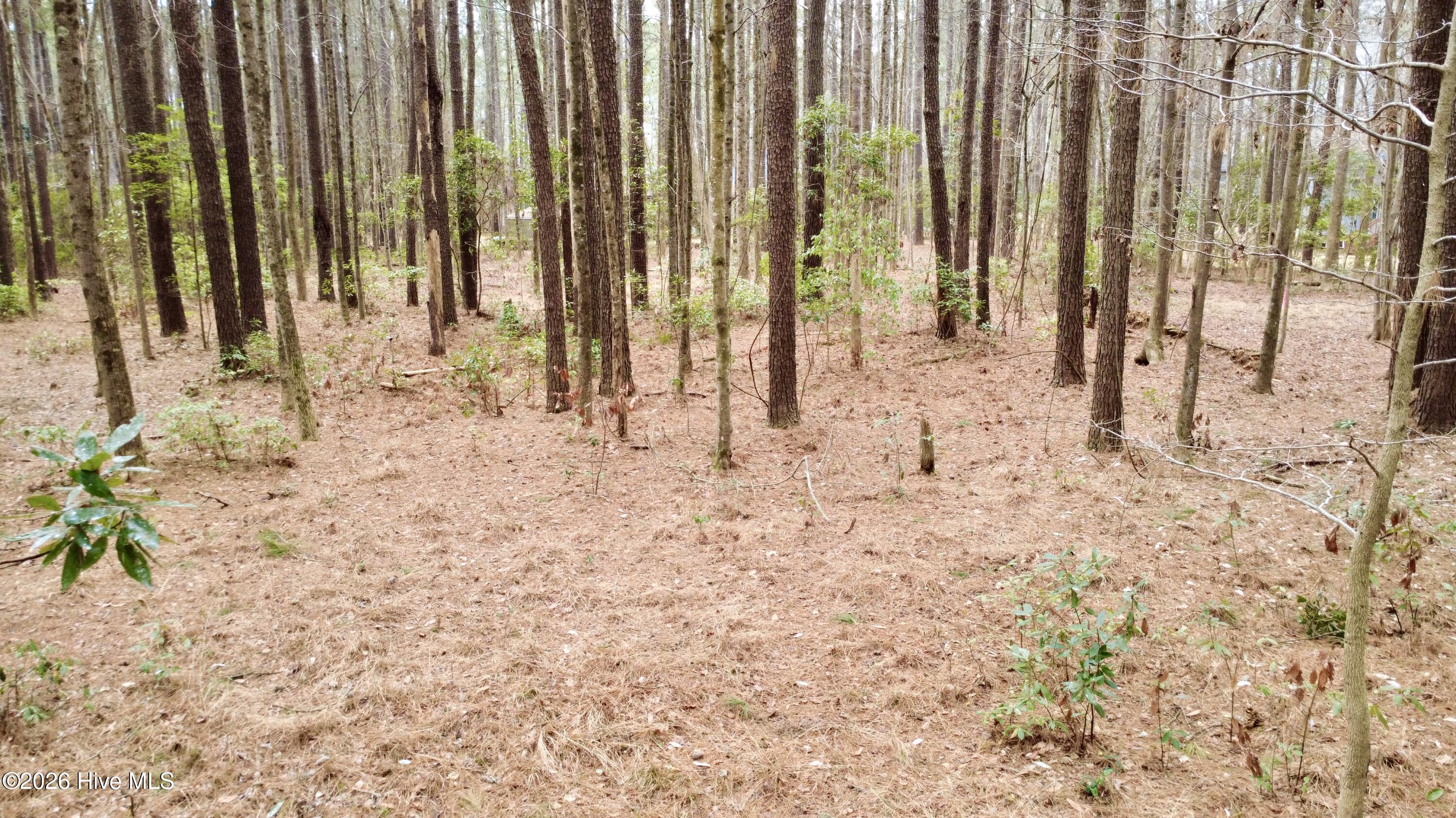 27 Pelican Bay Road Washington, NC 27889 - Photo 2 of 15 DJI_0880