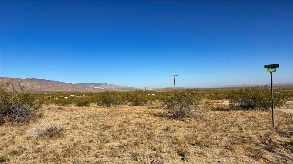 702 Bell Road Johnson Valley, CA 92285 - Photo 6 of 12