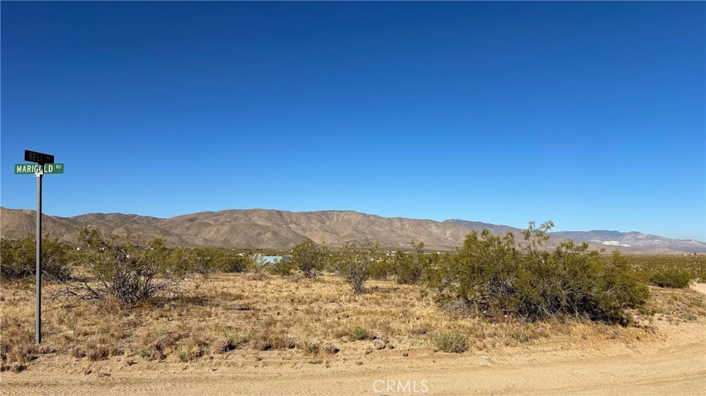 702 Bell Road Johnson Valley, CA 92285 - Photo 7 of 12