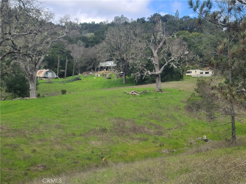 4475 Madrona Road Paso Robles, CA 93446 - Photo 1 of 1 View looking up from the creek