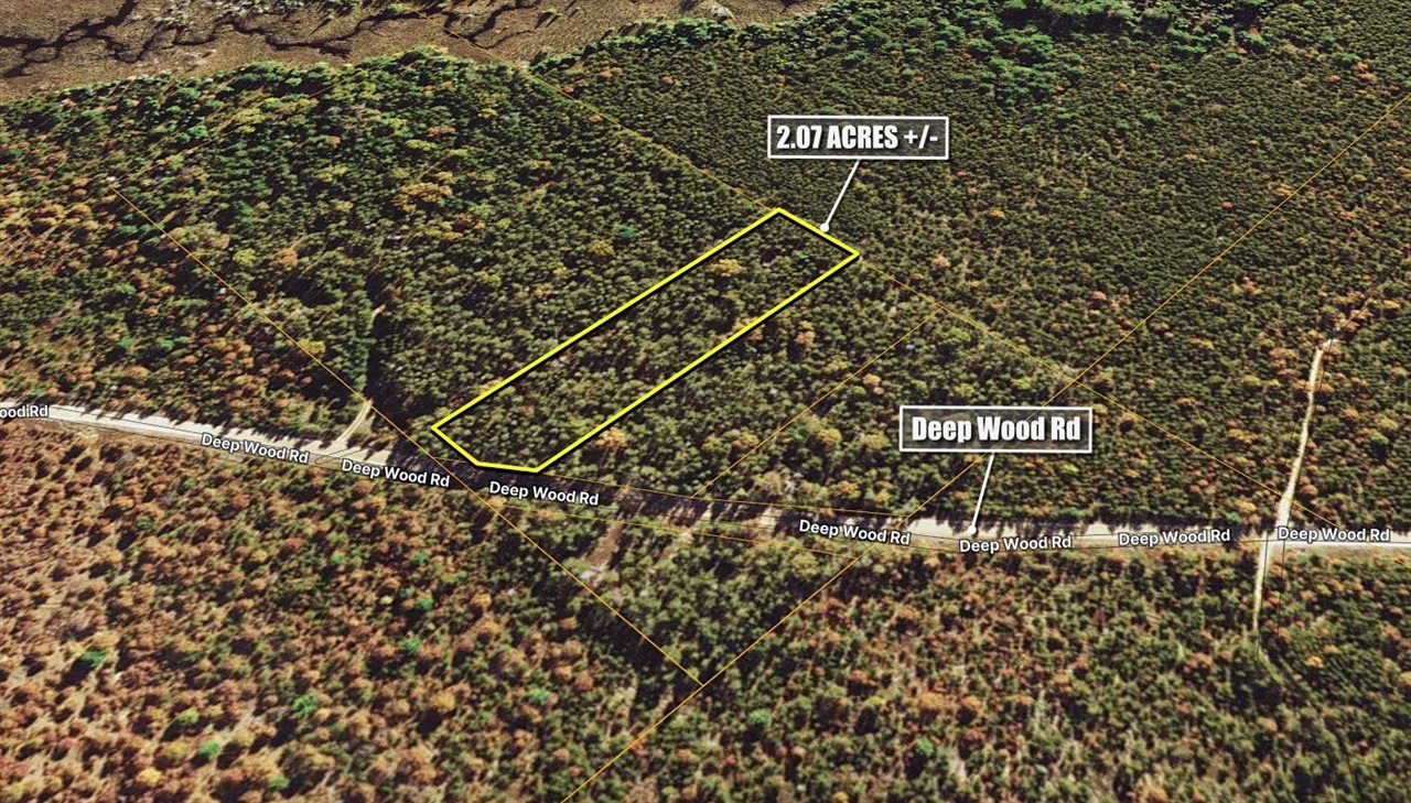 V/l(2.07-a) Deep Wood Road St. Helen, MI 48656 - Photo 19 of 20