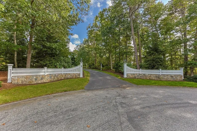 a view of a yard with plants and large trees