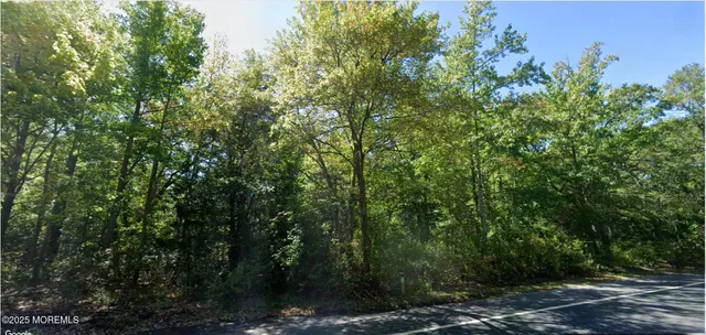 a view of a forest with lush green forest