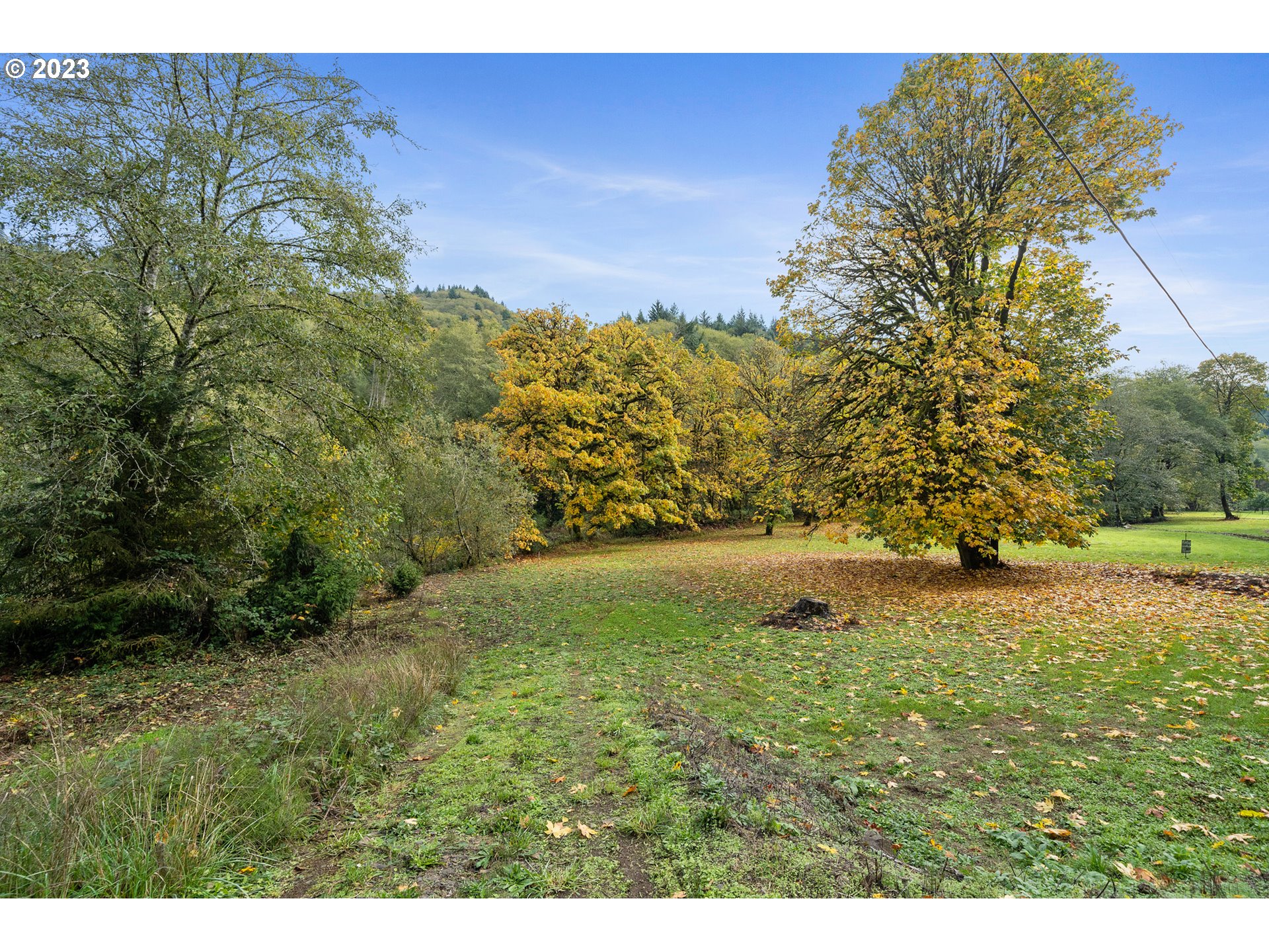 701 Highway 101 South Cloverdale, OR 97112 - Photo 1 of 12 a view of a yard with a tree