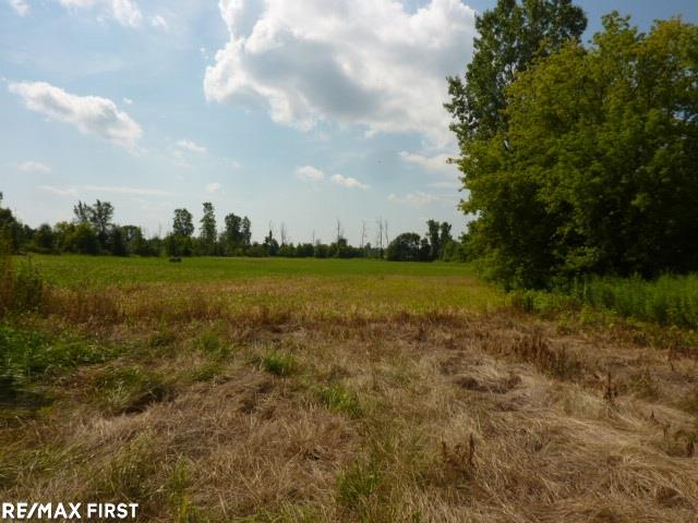 0 Belle River Road Allenton, MI 48002 - Photo 5 of 20