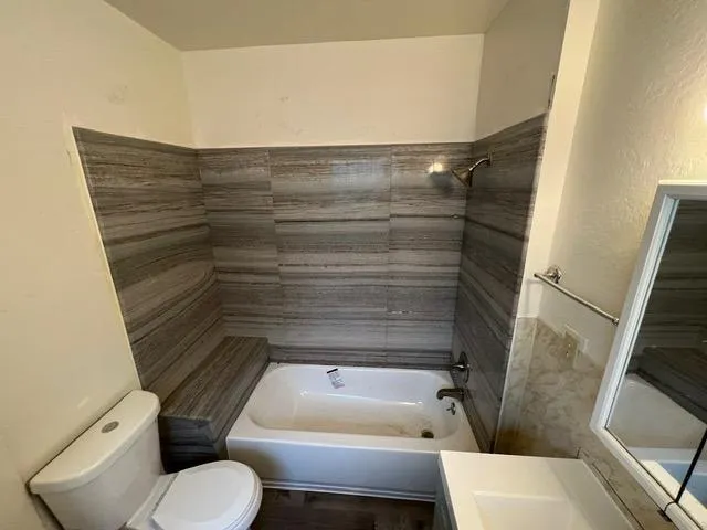 a bathroom with a toilet and a bathtub