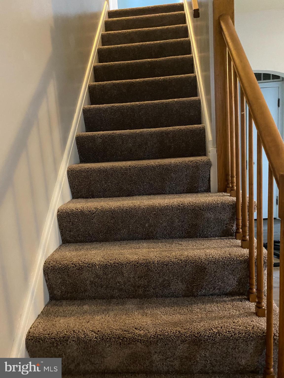 7716 Trappe Road Baltimore, MD 21222 - Photo 10 of 27 Brand New Carpet