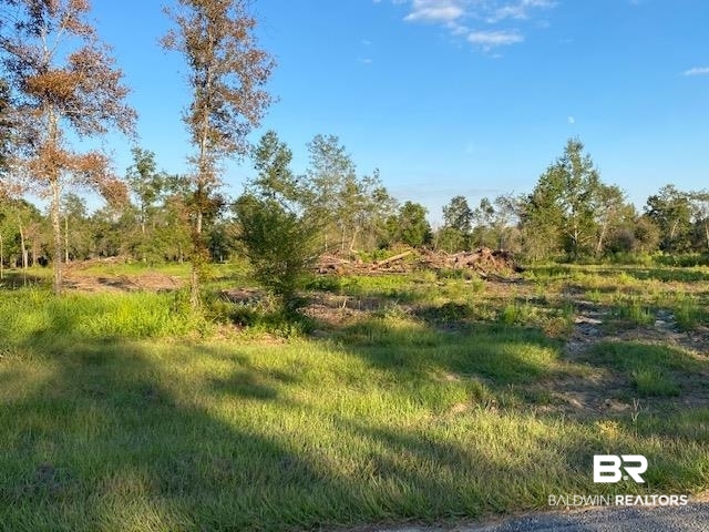 16108 Old Pierce Road Fairhope, AL 36532 - Photo 12 of 14