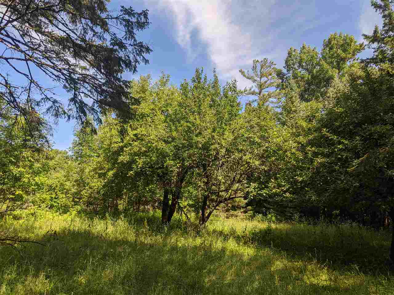 85272 County Road Butternut, WI 54514 - Photo 1 of 1