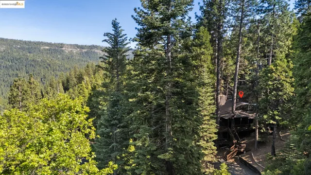 a view of a city with lush green forest