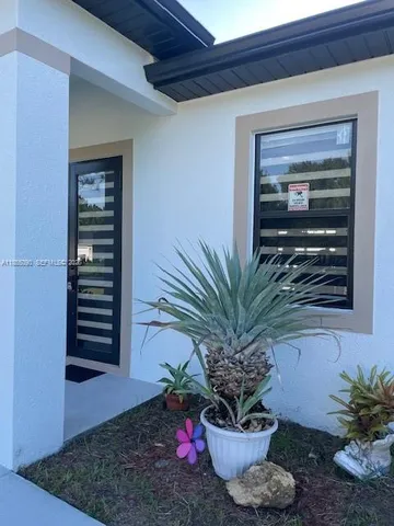 a potted plant in front of a door
