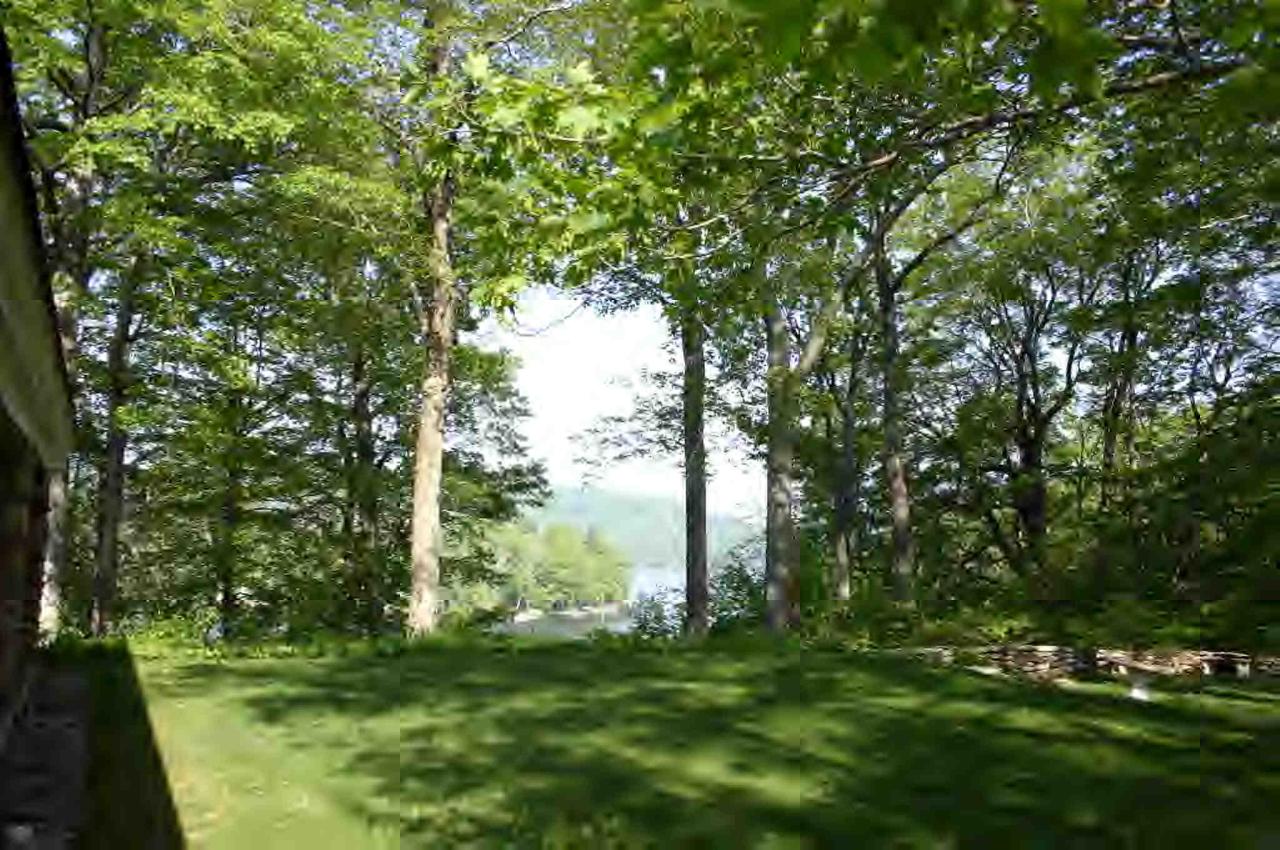 48 Tyringham Road Monterey, MA 01245 - Photo 3 of 8 a big yard with lots of green space and trees