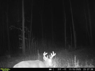 Xxx Fleming Logging Road Hinckley, MN 55037 - Photo 8 of 8