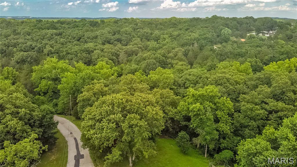 0 Watson Road Festus, MO 63028 - Photo 1 of 17