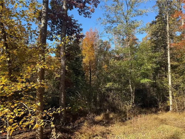 $45,000 | 0 Poole Road, Mayodan, NC 27027