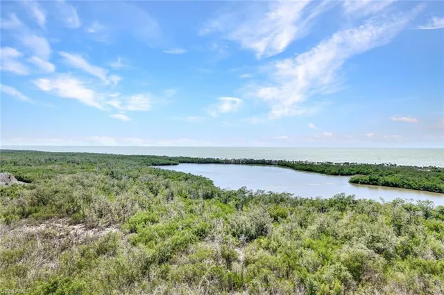 a view of a lake with a city