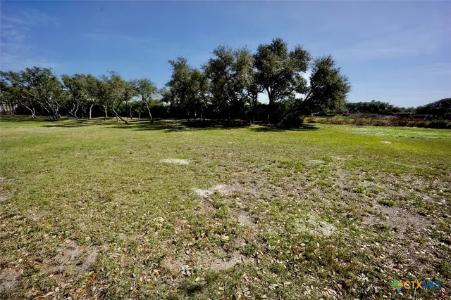 a view of a park with large trees