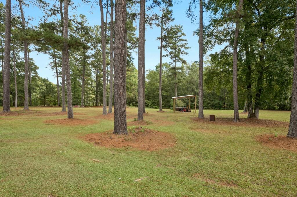 334 Luther Bailey Road Senoia, GA 30276 - Photo 12 of 67 a view of a tree in a yard