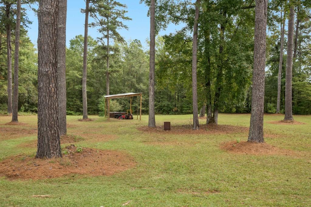 334 Luther Bailey Road Senoia, GA 30276 - Photo 60 of 67 a view of a yard with a tree