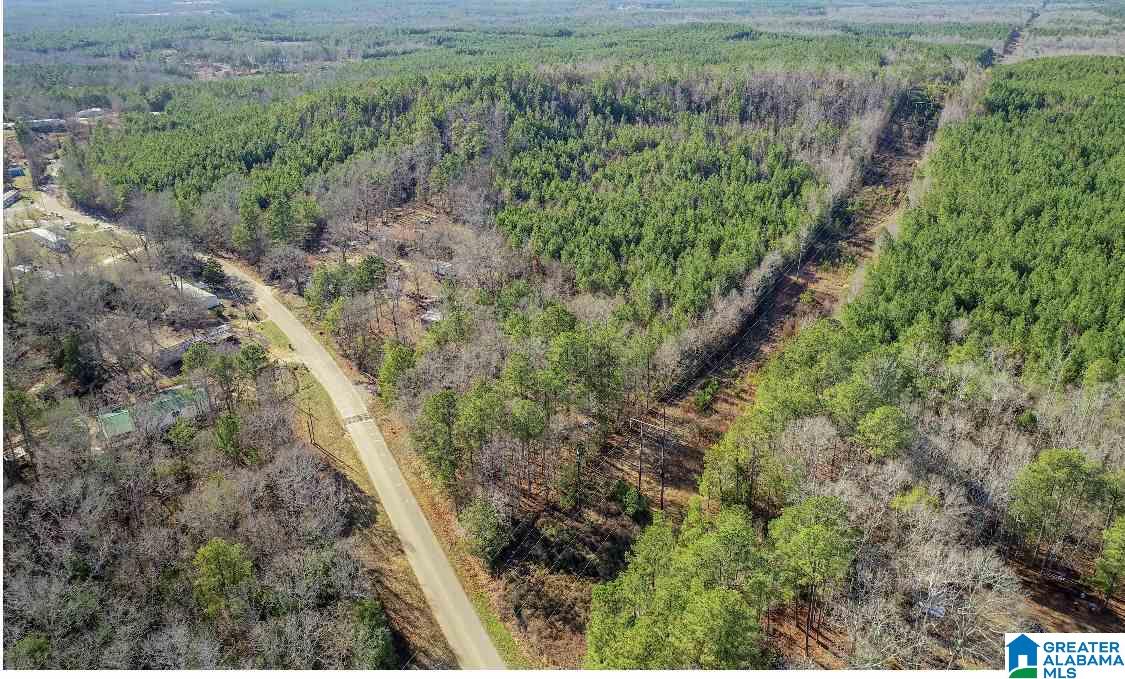 12186 Plowman Road, Unit 2 ACRES Gordo, AL 35466 - Photo 4 of 5