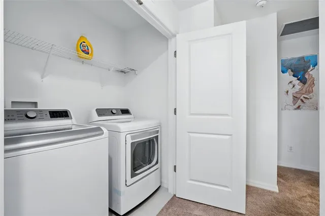 a view of a garden with a tree