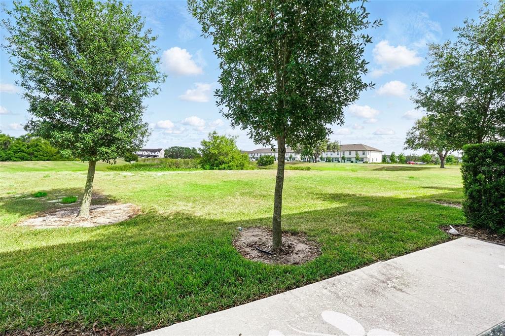 1421 Discovery Street Davenport, FL 33896 - Photo 32 of 44 a view of a garden with a tree
